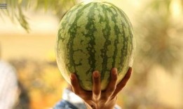 最近大瓜事件,揭秘明星隐私风波背后的真相